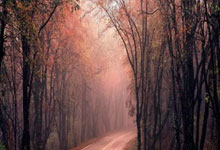 澳洲战队：黑马姿态，以弱胜强，书写传奇！