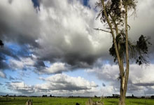 逐梦远航：中国足球的黎明与曙光