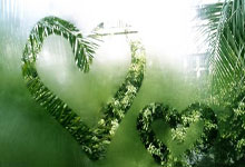 河北华夏主场告捷，剑指前八，燃爆球迷激情！