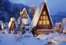 破茧成蝶，羽翼丰满：从默默无闻到冠军荣耀的羽毛球飞跃之路