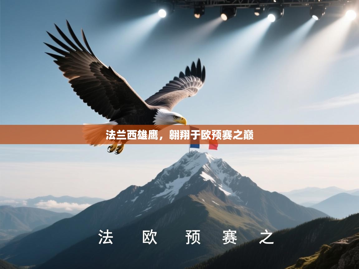 法兰西雄鹰,翱翔于欧预赛之巅 第2张