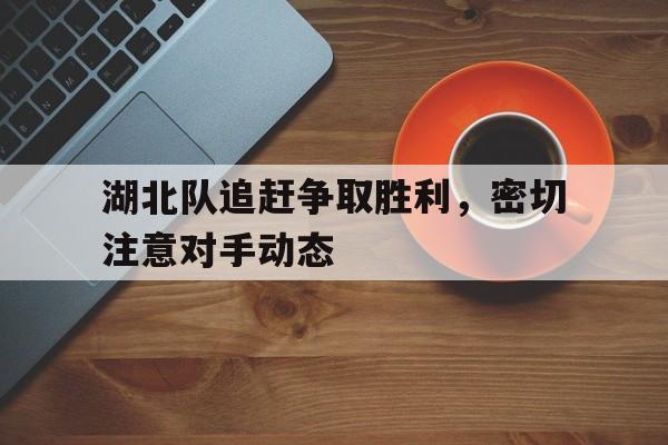 开云官网体育-湖北队追赶争取胜利，密切注意对手动态的简单介绍